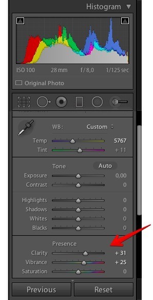 Lightroom: пример интерфейса из материалов архива