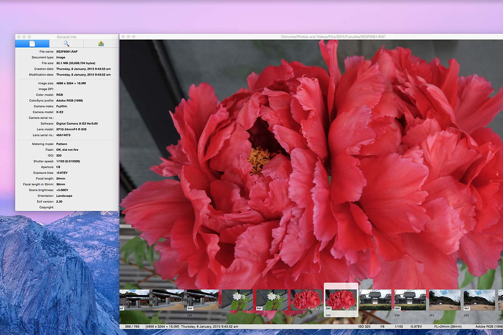 ApolloOne — интерфейс программы