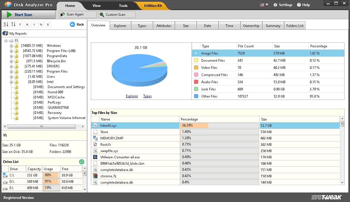 Главное окно Disk Analyzer Pro с отчетом Overview