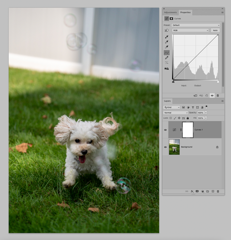 Adobe Photoshop — пример ручной виньетки через корректирующий слой