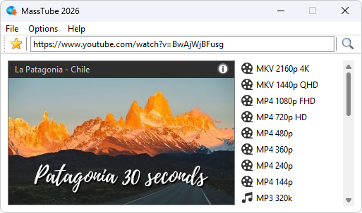 Главное окно MassTube с полем ссылки, меню и выбором доступных форматов