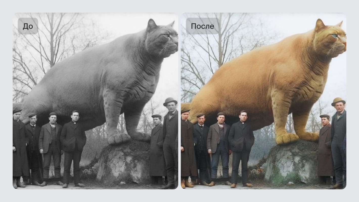 Neural Love — скриншот сервиса