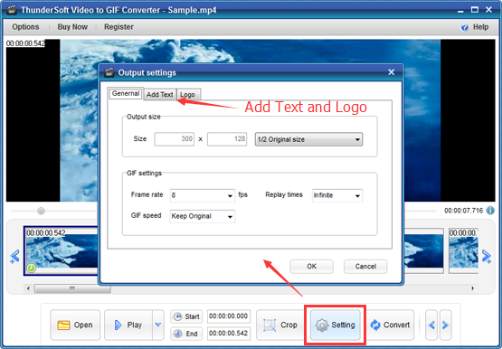 Настройки вывода в ThunderSoft Video to GIF Converter