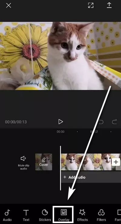 Монтаж вертикального видео на смартфоне