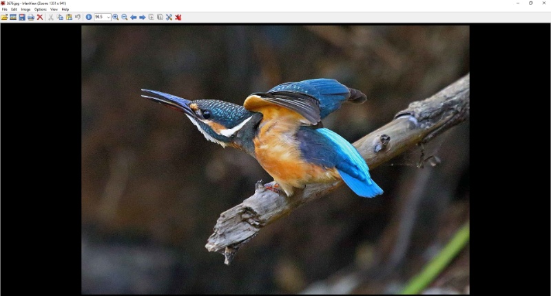 Скриншот IrfanView