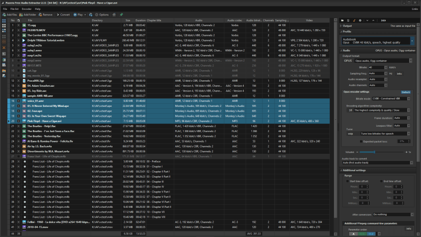 Главное окно Pazera Free Audio Extractor
