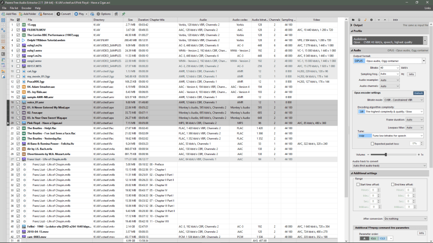Pazera Free Audio Extractor во время настройки профиля и параметров