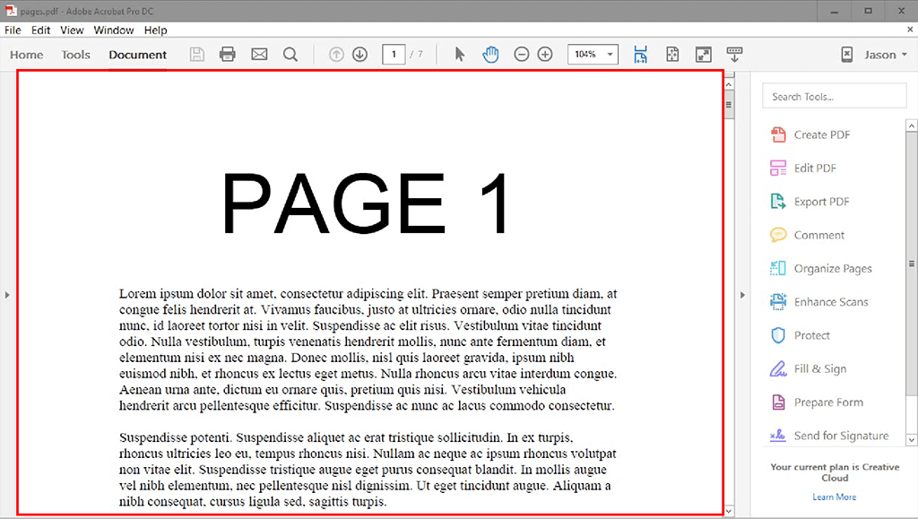Скриншот Adobe Acrobat Standard: pdf file in adobe acrobat