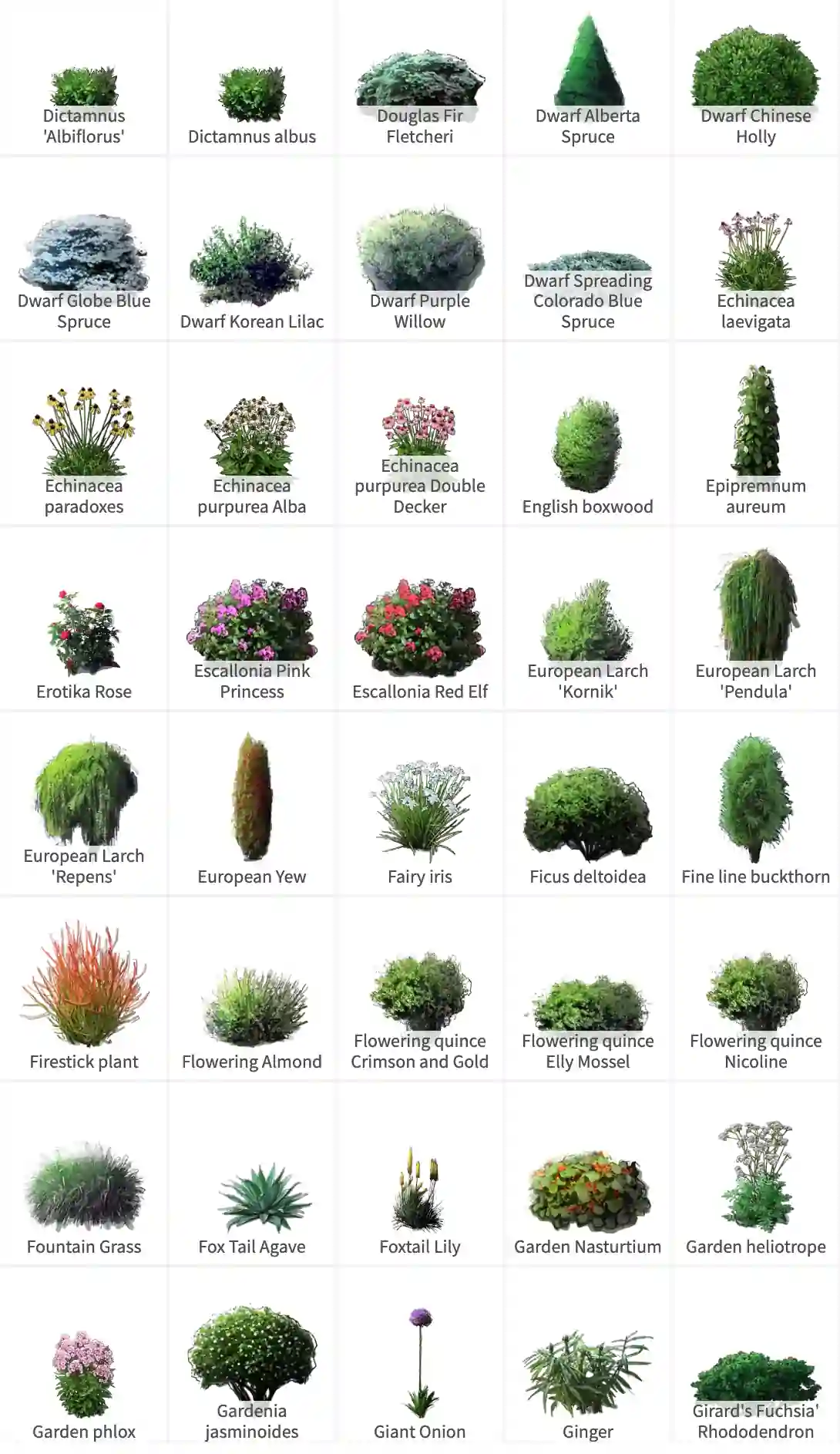 Фрагмент библиотеки растений в GardenPuzzle