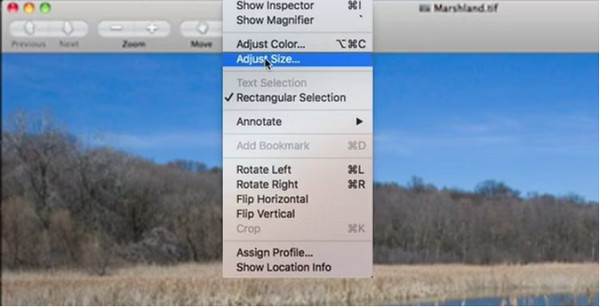 Preview на macOS: окно Adjust Size