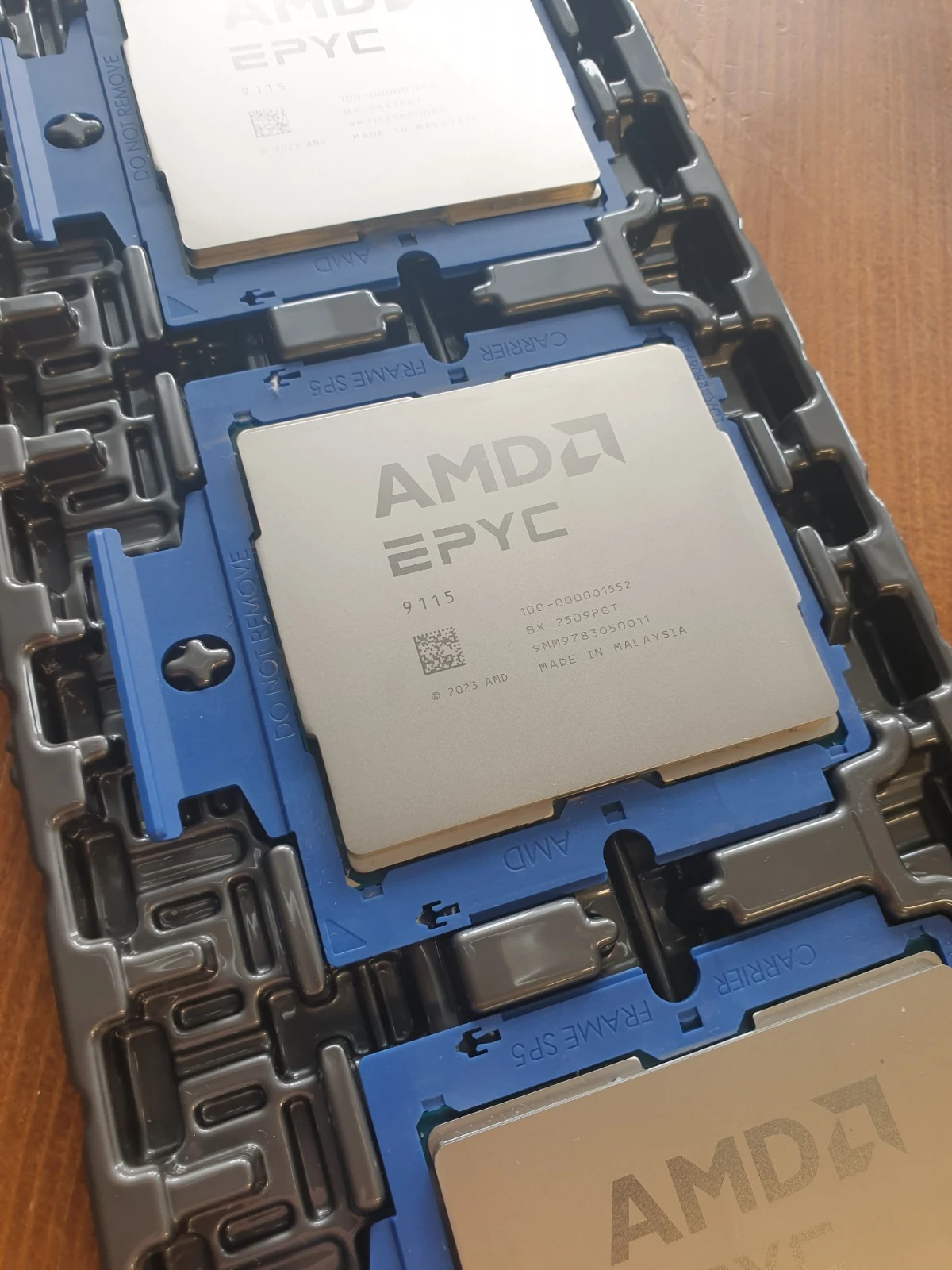 AMD EPYC 9115, маркировка 9115 и OPN 100-000001552