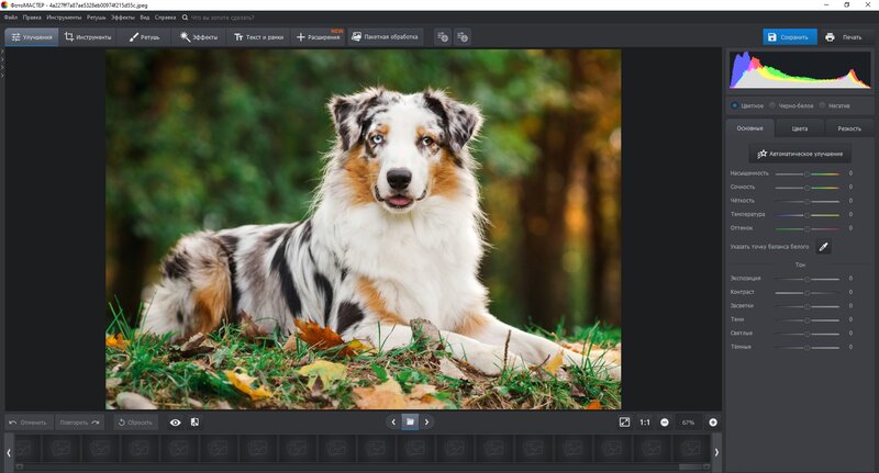 ФотоМАСТЕР