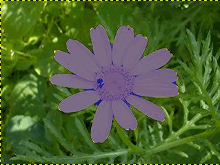 GIMP: выделение переднего плана для отделения объекта от фона