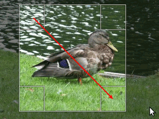 Выбор области кадрирования в GIMP