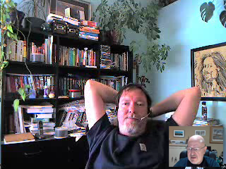 Режим Picture in Picture в Evaer