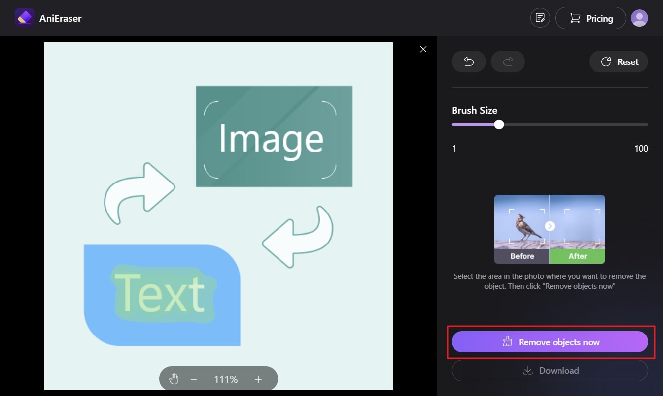 AniEraser — выделение текста и кнопка Remove objects now