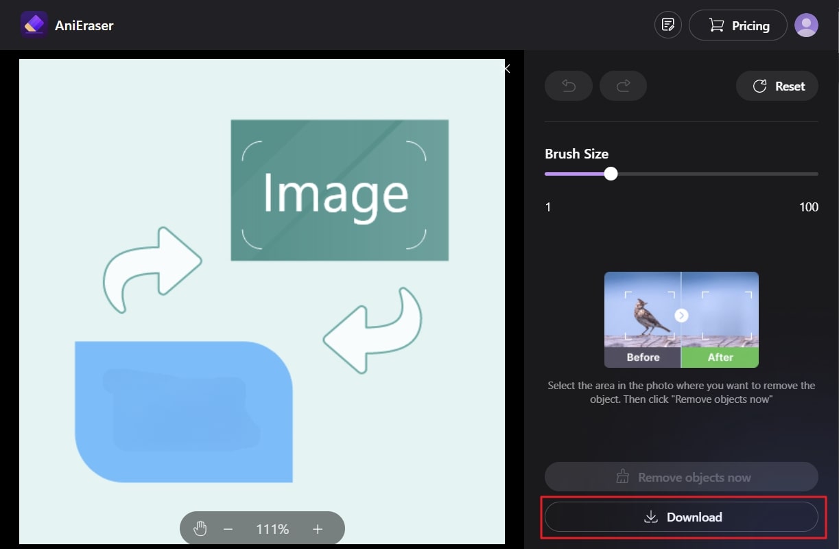AniEraser — результат после удаления текста и кнопка Download