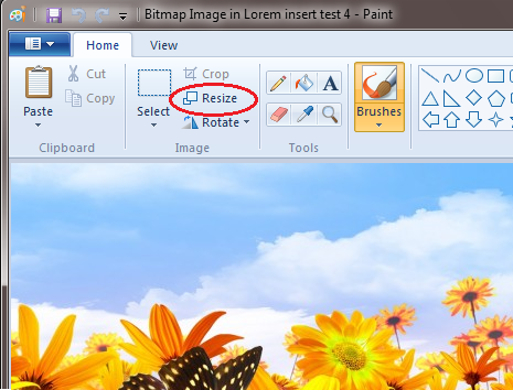 Изменение размера в Paint