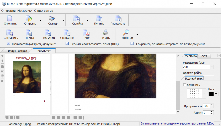 Главное окно RiDoc