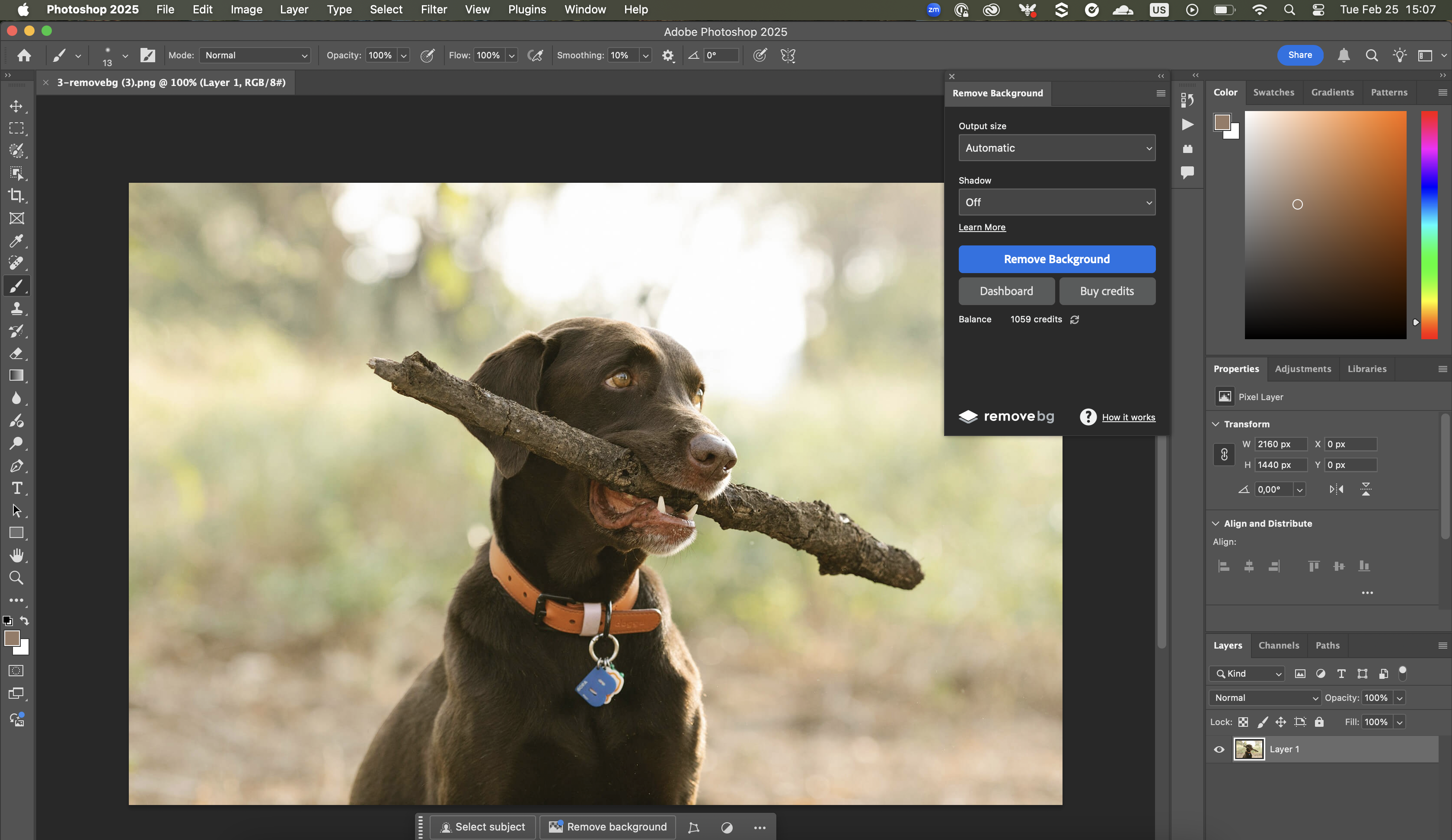 Плагин remove.bg внутри Adobe Photoshop