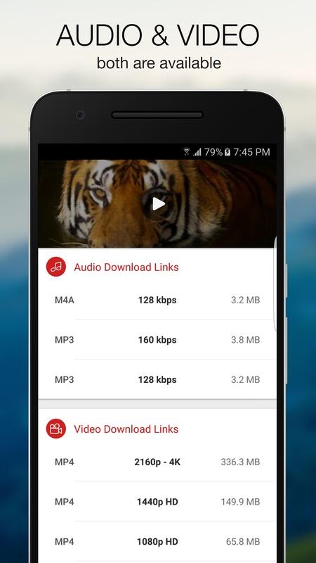 Экран выбора Audio Download Links и Video Download Links в Videoder