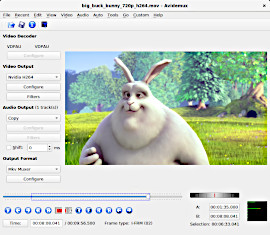 Главное окно Avidemux