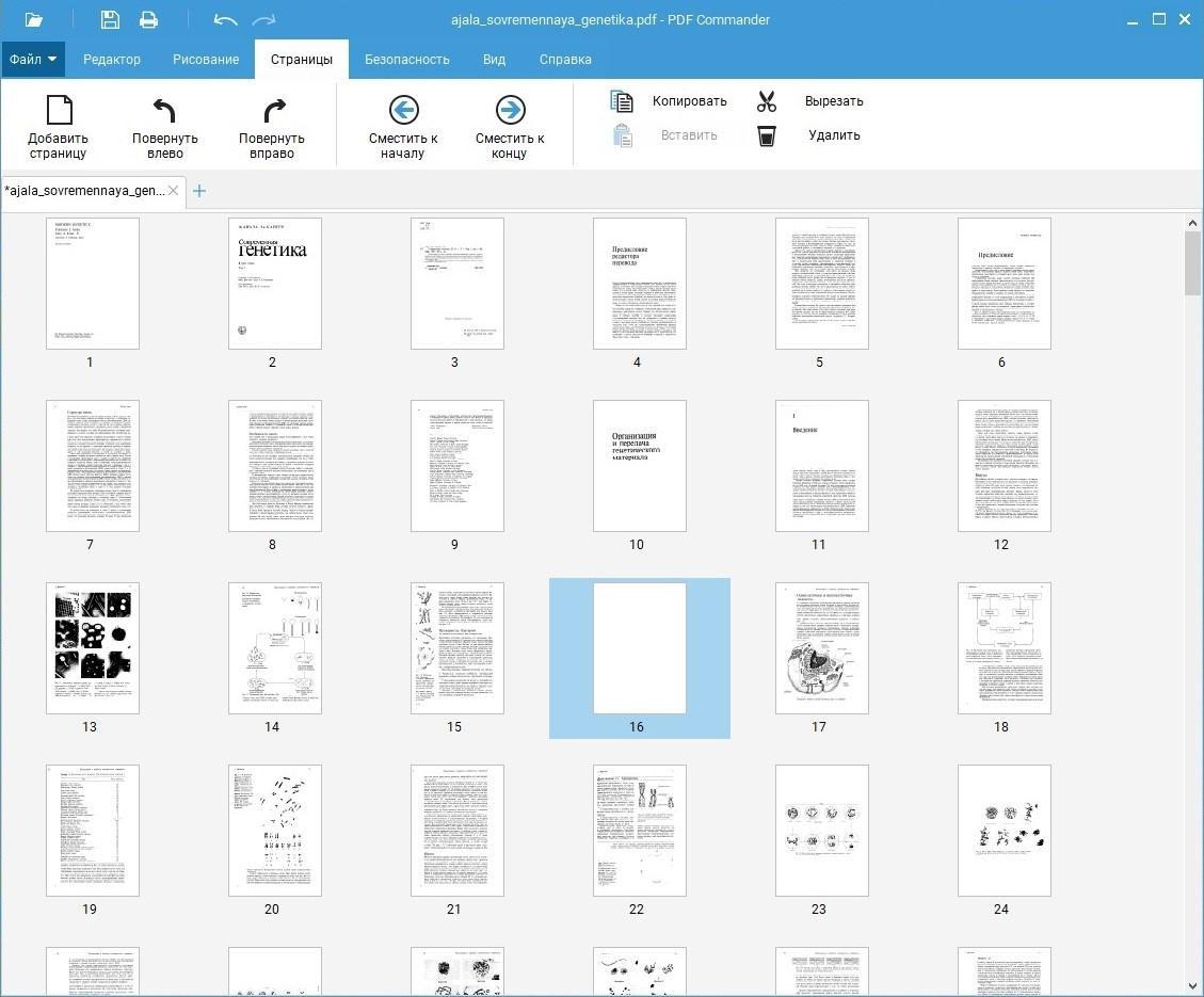 Скриншот интерфейса PDF Commander