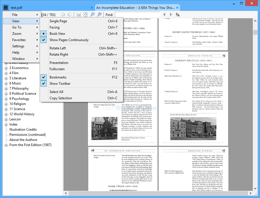 Настоящий скриншот интерфейса Sumatra PDF: открытый PDF-документ, панель закладок и меню просмотра