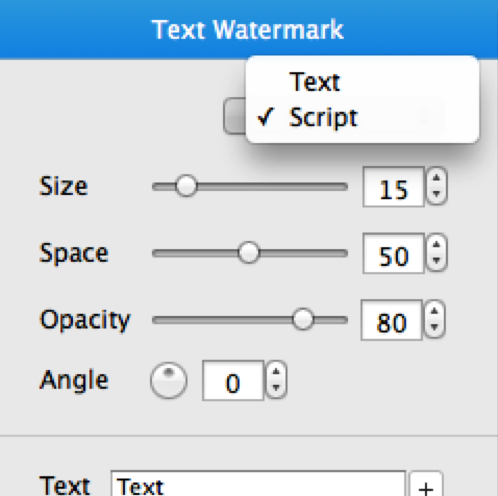 Настройки Script в панели Text Watermark