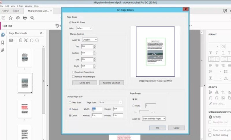 Adobe Acrobat: настройка размера страницы