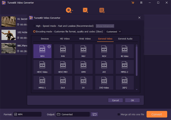 Окно выбора формата в TunesKit Video Converter