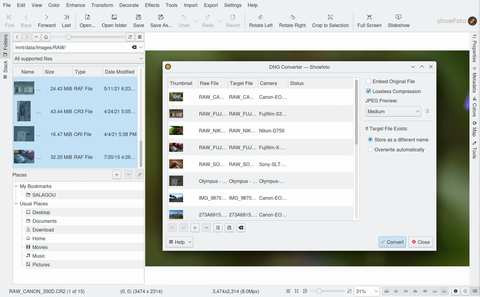 DNG Converter в Showfoto с очередью RAW-файлов и параметрами конвертации