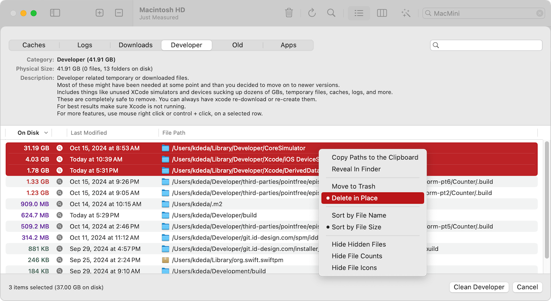 WhatSize Disk Cleaner с вкладкой Developer и контекстным меню удаления