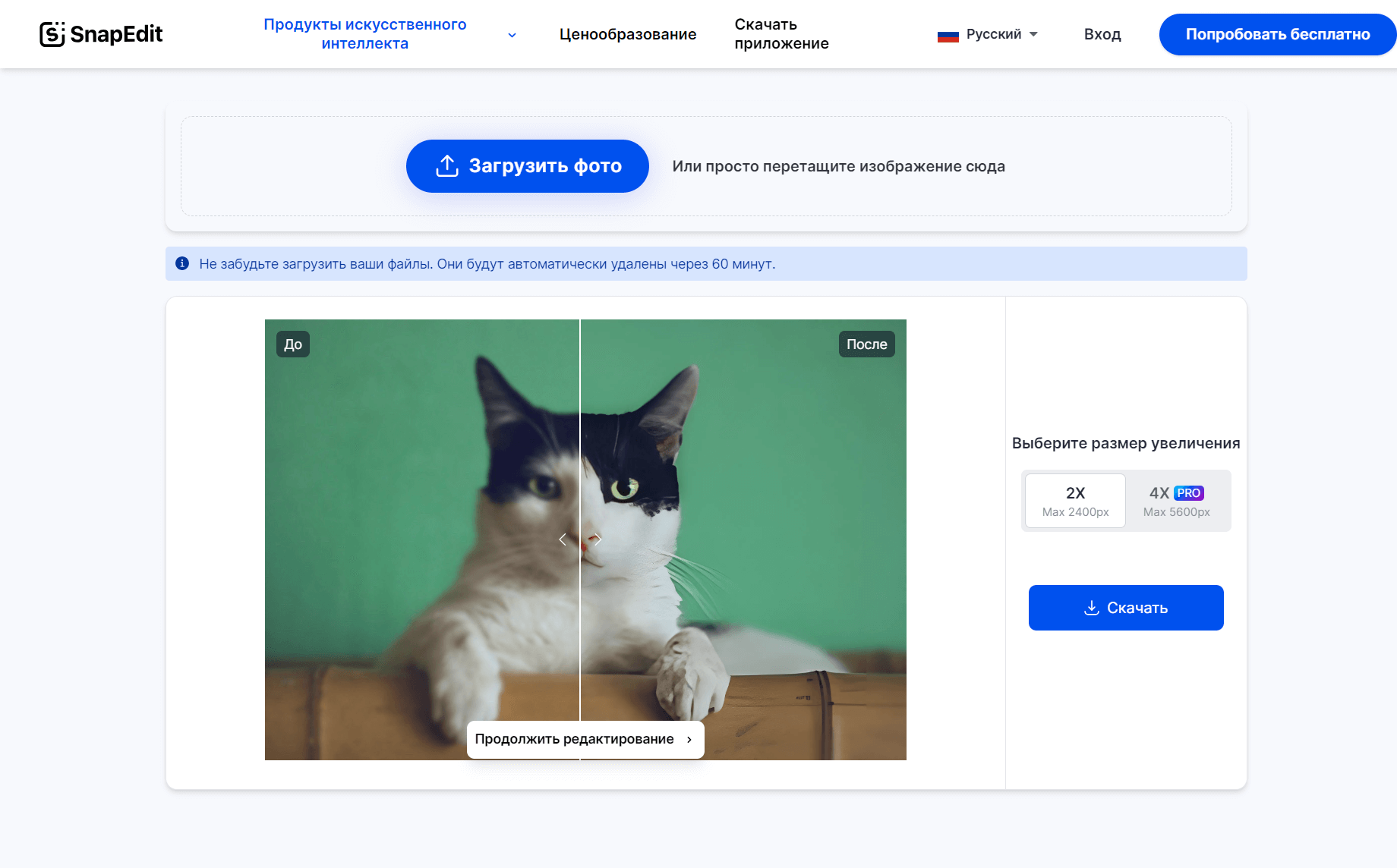 Скриншот SnapEdit