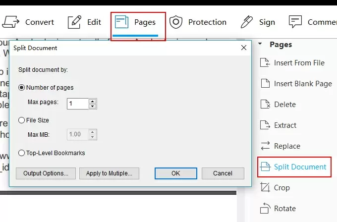 Скриншот ApowerPDF: split document12.jpg