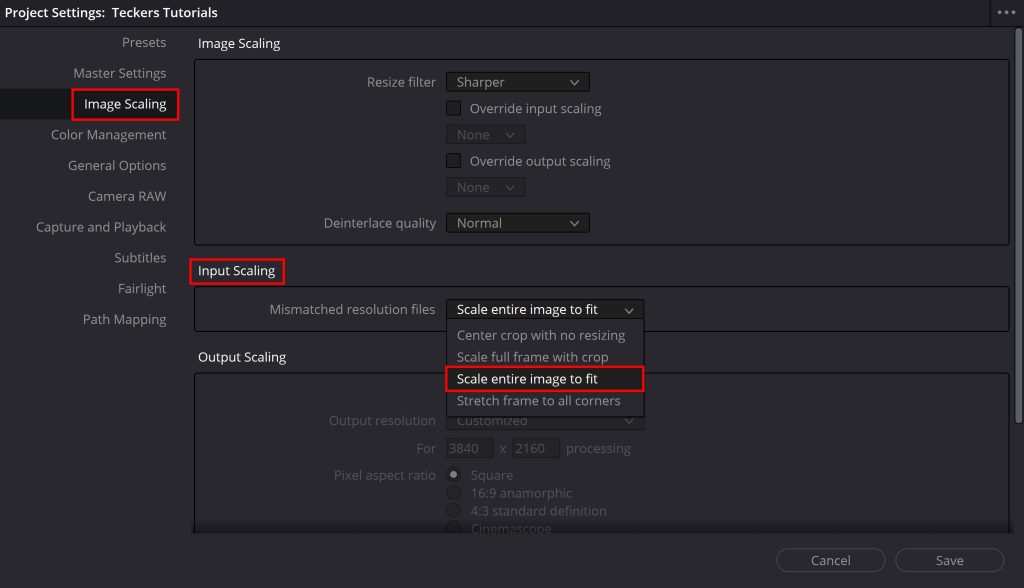 Input Scaling в DaVinci Resolve