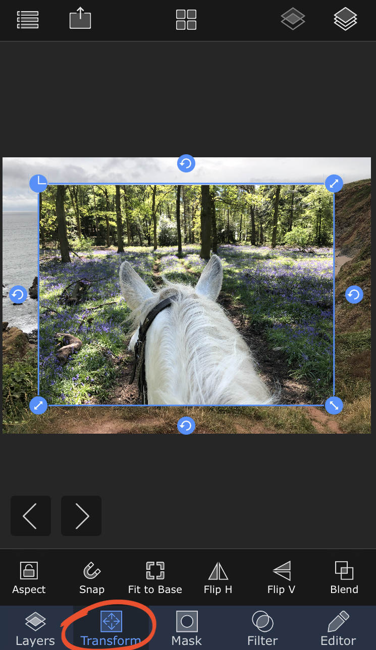 Вкладка Transform в Superimpose X