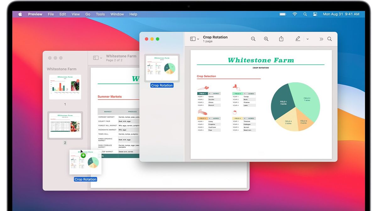 Интерфейс Preview на macOS