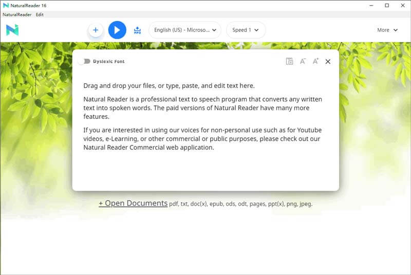 NaturalReader с открытым текстом для озвучки