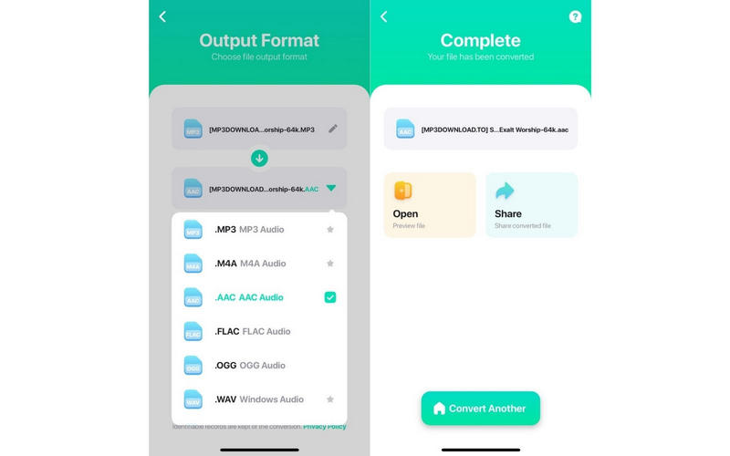 The Audio Converter на iPhone
