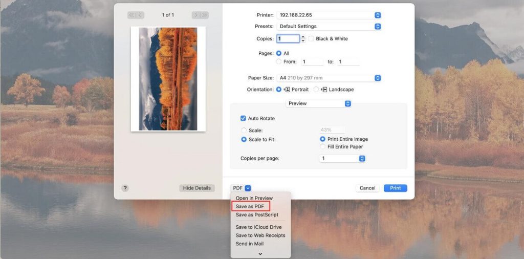 Сохранение PDF через системное окно macOS