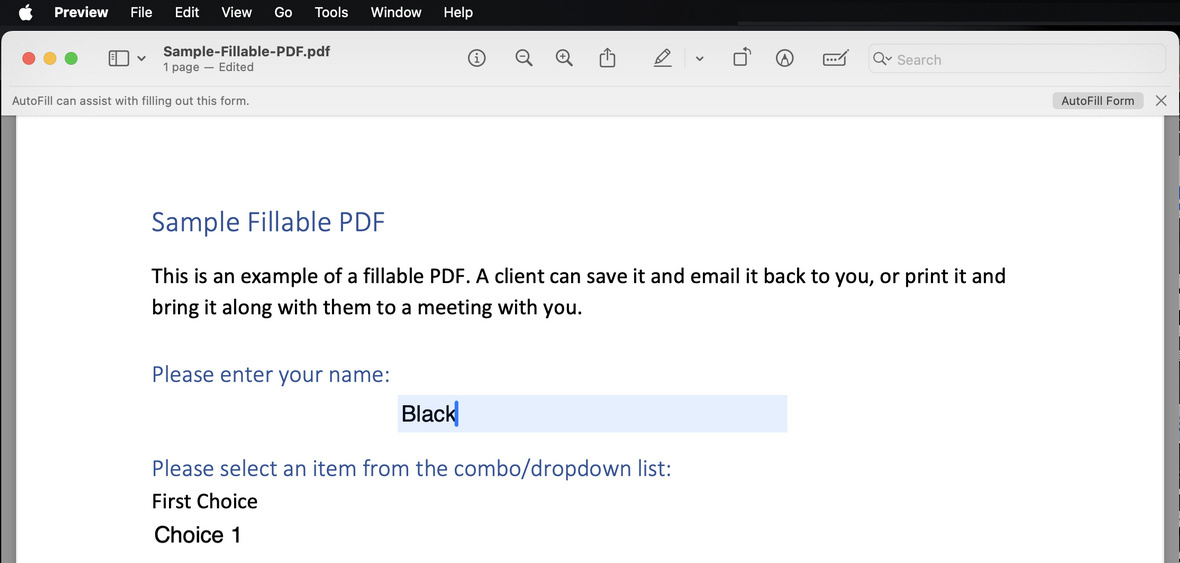 Заполнение PDF-формы в Preview на Mac