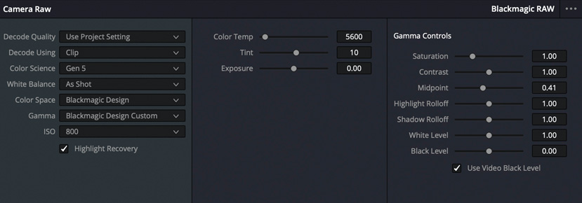 Панель Camera Raw в DaVinci Resolve