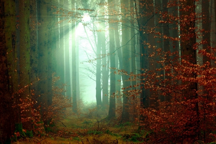 ФотоМАСТЕР: пример пошаговой смены погоды на снимке