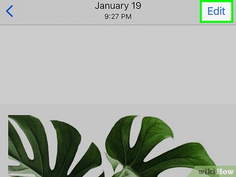 Редактор Фото на iPhone: настройка теней и света