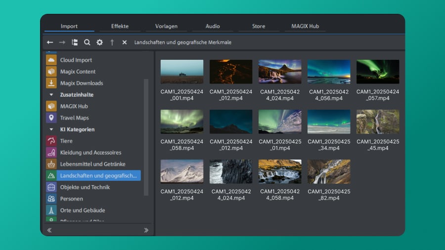 AI Media Management в MAGIX Video Pro X: сортировка клипов по категориям в Media Pool