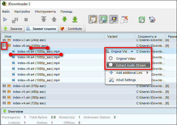 Выбор видео для загрузки в JDownloader 2