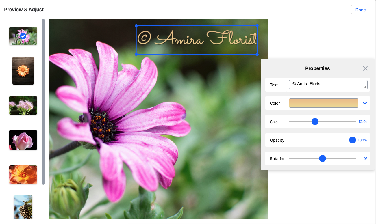 Watermarkly: предварительный просмотр логотипов на фото