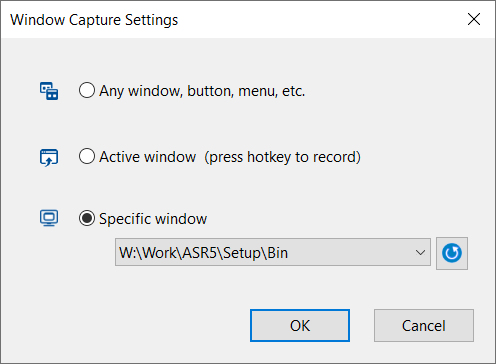 Настройки захвата окна в AutoScreenRecorder 5