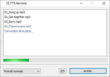 Окно процесса конвертации с прогресс-баром и списком уже обработанных файлов
